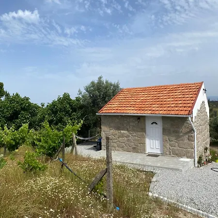 Villa Casa De Pedra Em Vinha No Dao Nelas Esterno foto
