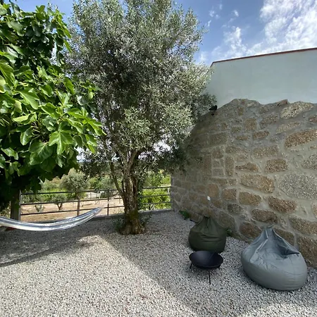 Villa Casa De Pedra Em Vinha No Dao Nelas Esterno foto