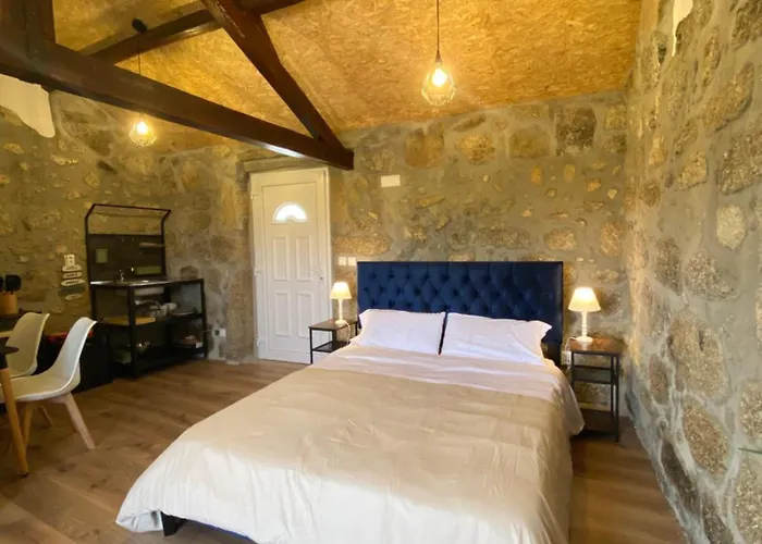 Casa De Pedra Em Vinha No Dao