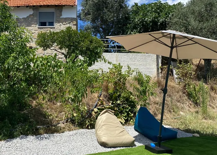 Casa De Pedra Em Vinha No Dao
