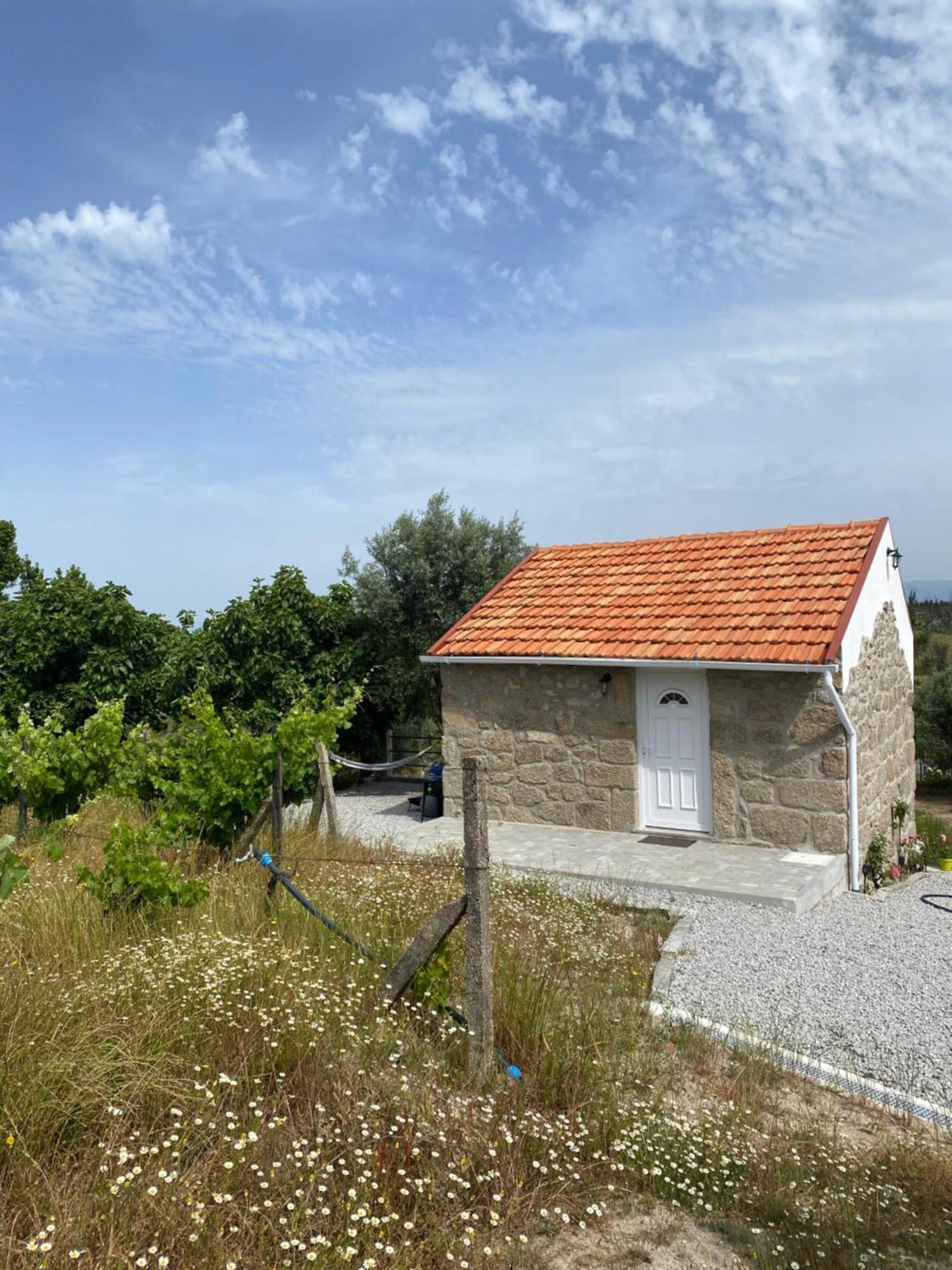 Ferienhaus Casa De Pedra Em Vinha No Dao